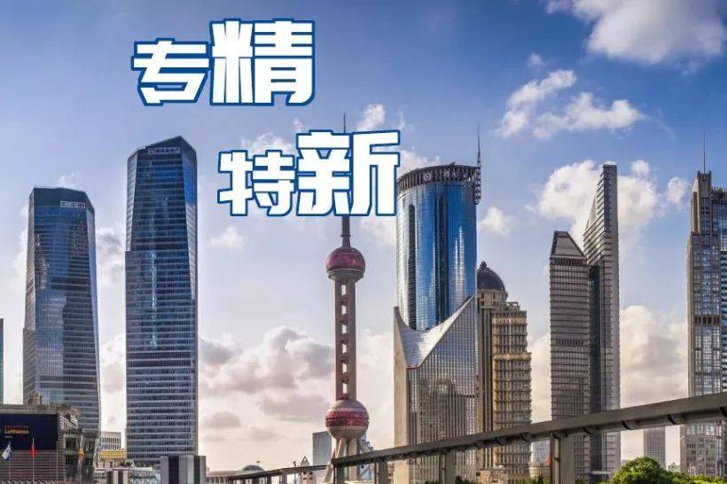 新澳天天精资科大全,新澳天天精资科技大全，引领未来的科技投资指南