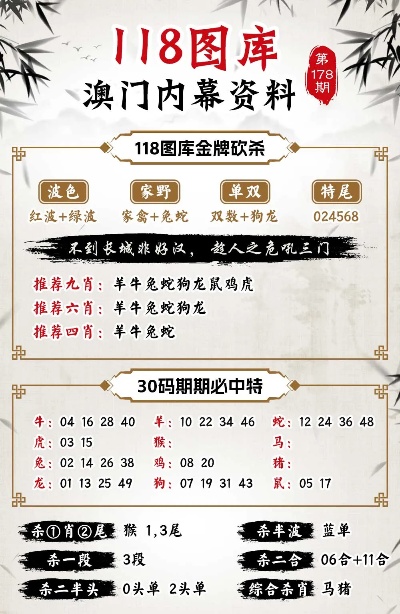 新澳门王中王100%期期中,精选解释解析落实,新澳门王中王期期中奖解析与精选策略落实
