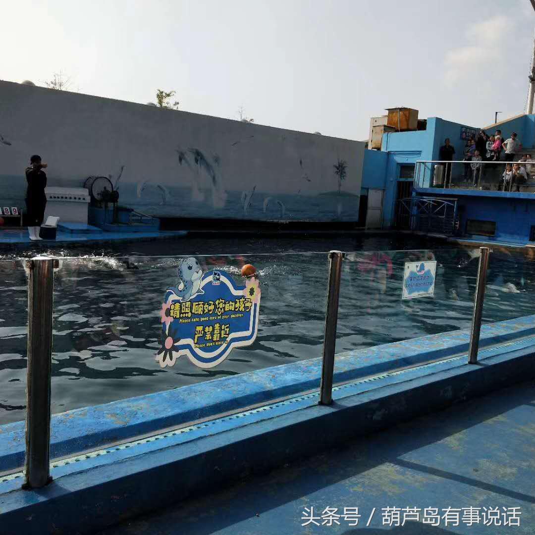 新澳天天彩免费资料大全最新版本|词语释义解释落实,新澳天天彩免费资料大全及其相关词汇的法律解读与落实措施