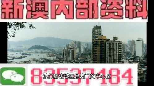 2024-2025年新澳门天天开好彩精准资料大全,澳门新未来，2024-2025年天天开好彩精准资料大全展望