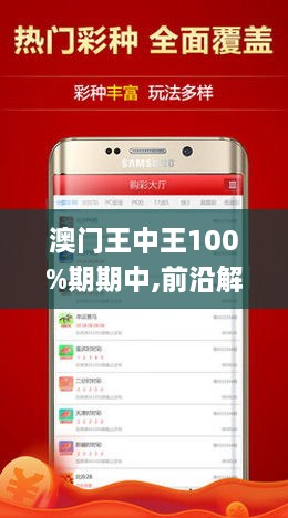新澳门王中王100%期期中,精选解释解析落实,新澳门王中王期期中，深度解析与落实策略