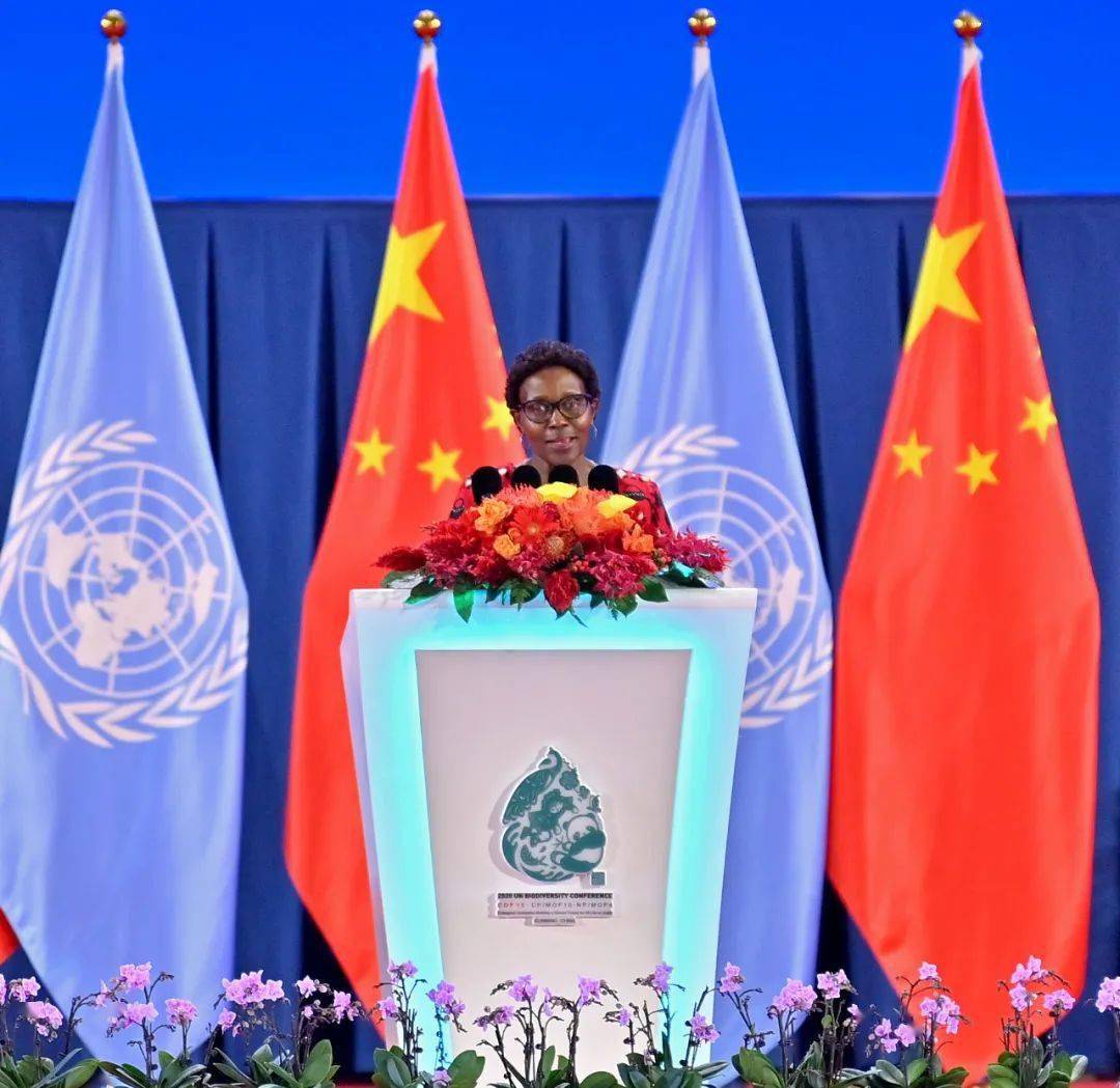 2025新澳门正版免费挂牌灯牌,探索新澳门，正版挂牌灯牌的未来展望（2025展望）
