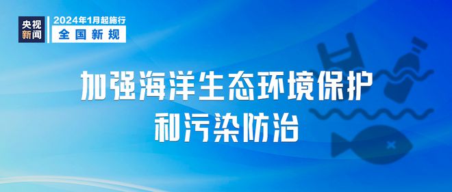 新澳门最精准正最精准龙门,确保成语解释落实的问题,新澳门最精准正最精准龙门——深入探索成语世界的奥秘与确保解释落实的重要性