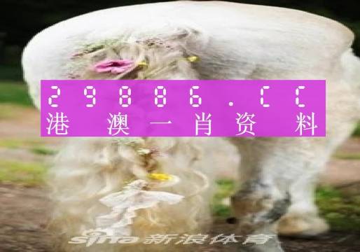 2025澳门全年资料免费大全,澳门一肖一码必中一码,澳门未来展望，探索2025全年资料免费大全与精准预测