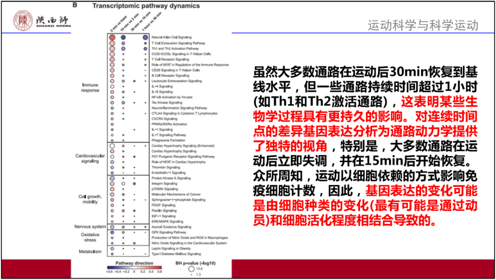 新澳2025最新资料大全,决策资料解释定义_AR94.463,新澳2025最新资料大全与决策资料解释定义——AR94.463综述
