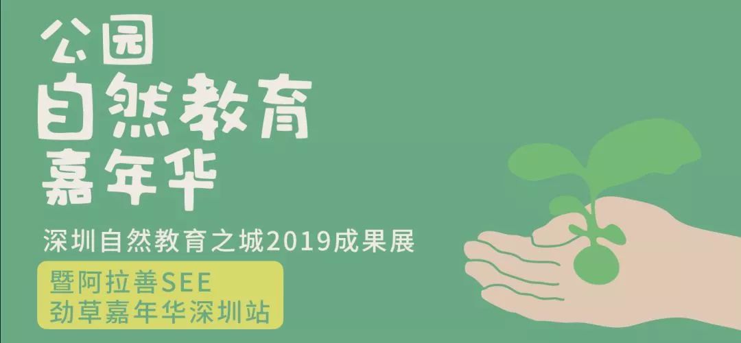 三中三必中一组澳门——聆听大自然的声音,感受生命的律动,三中三必中一组澳门，聆听大自然的声音，感受生命的律动